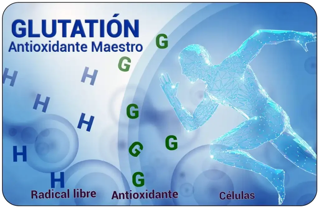 glutation Tratamiento Cancer Naturista Exito