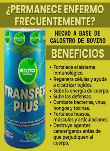 calostro bovino #1 3 tienda naturista en Chiquinquira factores de transferencia propiedades