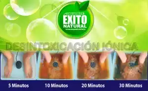 DESINTOXICACION IONICA exito natural