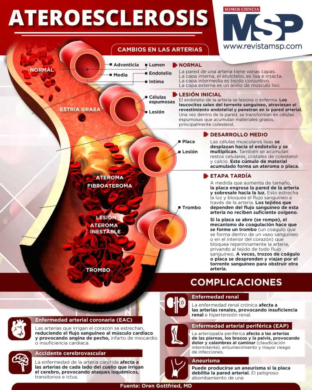 trigliceridos y colesterol remedio#1 1 colesterol y trigliceridos