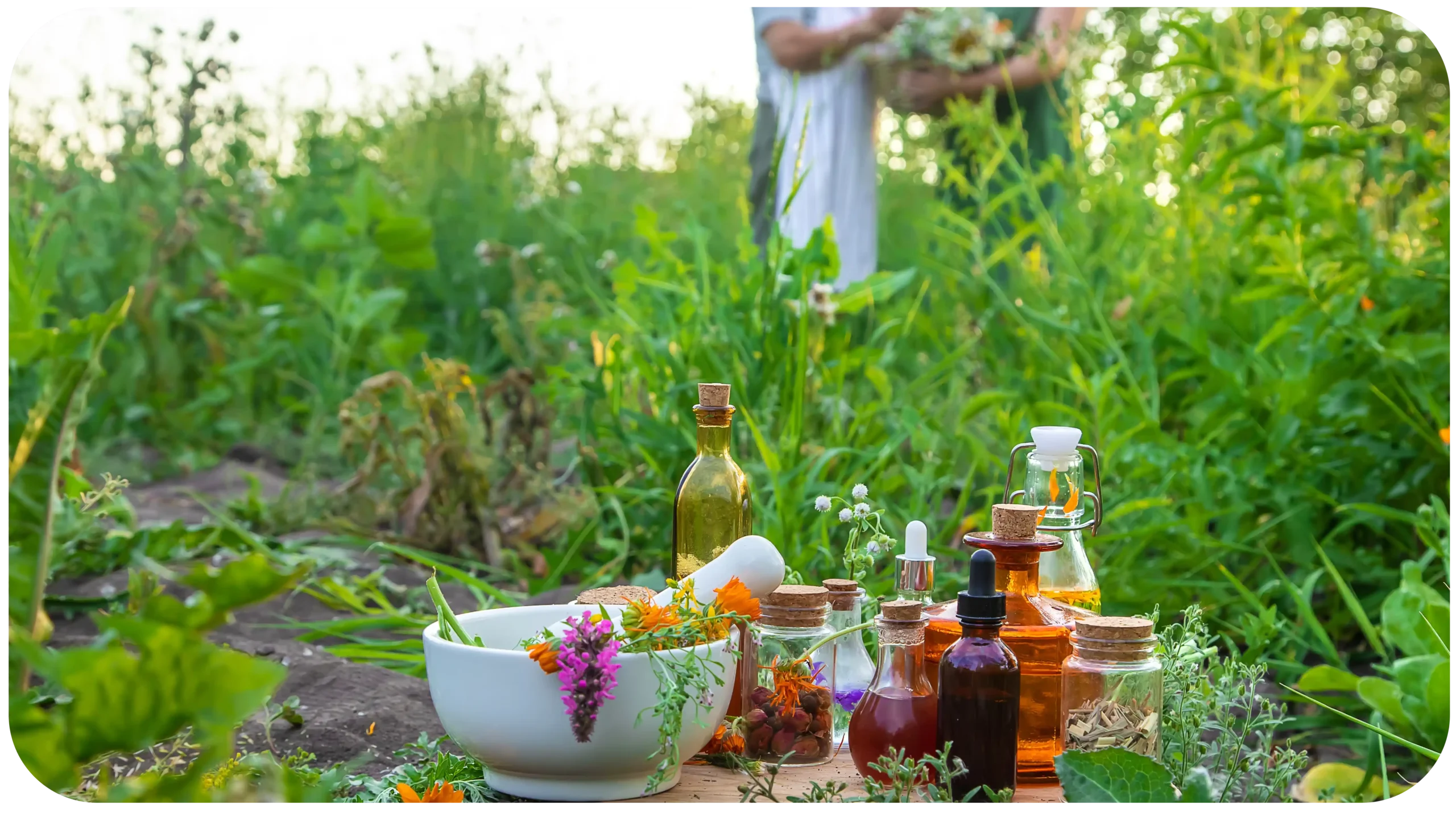 Objetivos Generales Descubre la Mejor Tienda Naturista 18 Años Transformando Vidas 2 Objetivos Generales que Definen Nuestra Misión productos naturales tienda naturista Simijaca